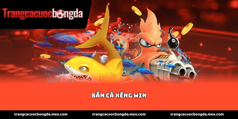 Các thuật ngữ cơ bản trong bắn cá xèng