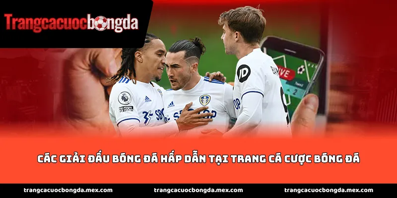 Các giải đấu bóng đá hấp dẫn tại trang cá cược bóng đá