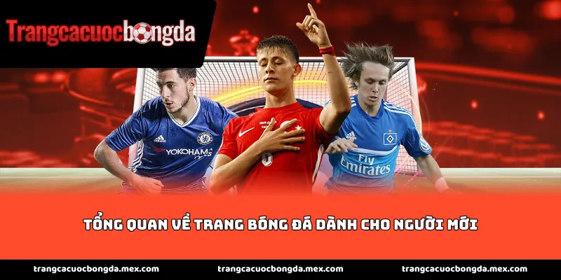 Tổng quan về trang bóng đá dành cho người mới