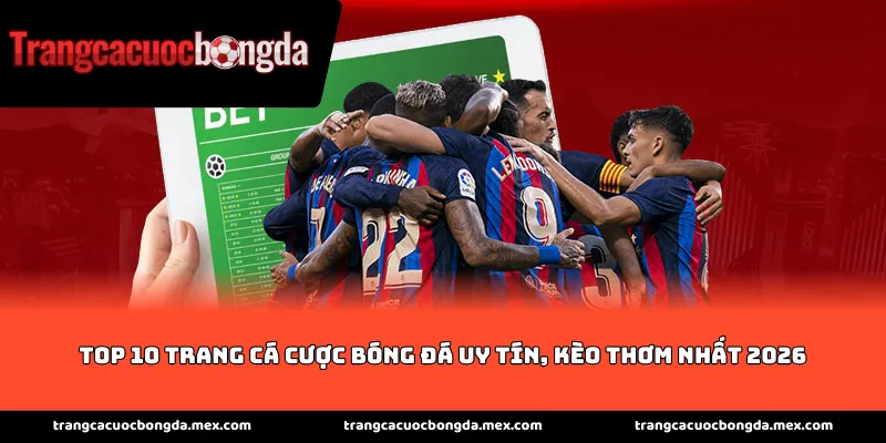 Top 10 trang cá cược bóng đá uy tín, kèo thơm nhất 2026