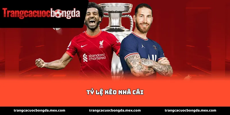 Phân tích chuyên sâu về tỷ lệ kèo nhà cái